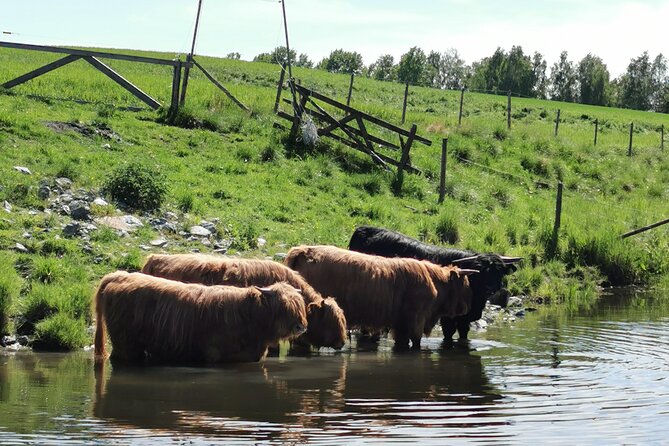 Beaver Safari on Stand up paddleboard in Hokksund - Who Will Enjoy This Beaver Paddleboard Safari?