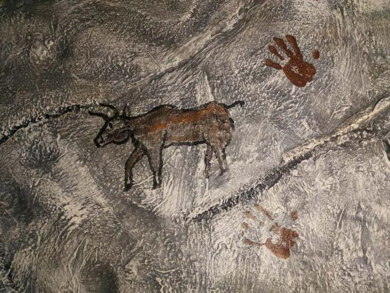 Becancour: Biodiversity Museum Visit - Visiting the "Génial! Tous intelligents!" Temporary Exhibition