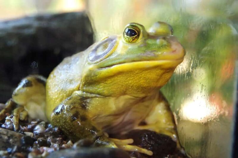 Becancour: Biodiversity Museum Visit - Practical Details: Meeting Point and Accessibility
