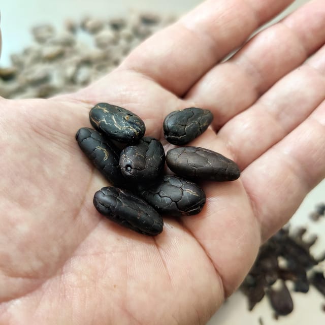 Become a chocolatier for a day! - Logistics and Booking Flexibility