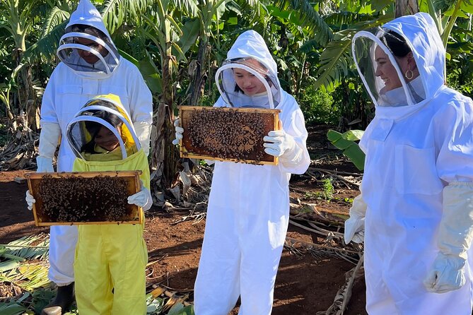 Bee Farm Ecotour and Honey Tasting in Waialua, North Shore Oahu - Sampling Hi Honey Farm’s Raw and Infused Honey Varieties