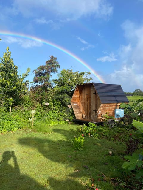 Bee Farm Tour & Honey Tasting - The Sum Up: A Sweet, Educational Family Outing