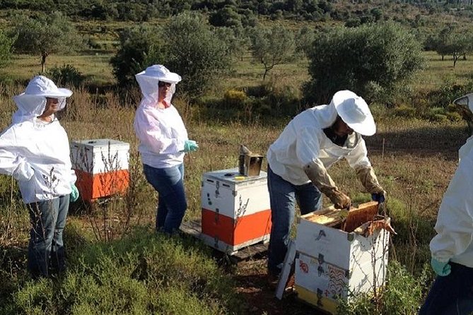 Beekeeper for a Day close to Nafplio - Traditional Beekeeping in Nafplios Countryside