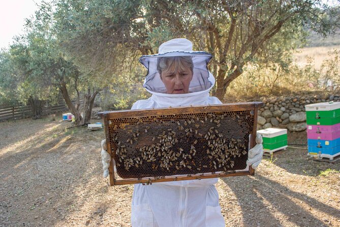 Beekeeping and Honey Stories in Itea - Honey Tasting and Hive Products