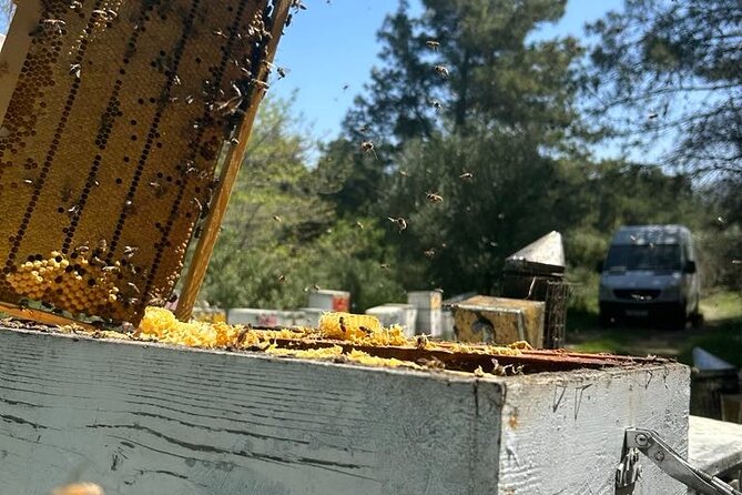 Beekeeping experience " Areti Honey " - Discover the Beekeeping World with Areti Honey in Rhodes