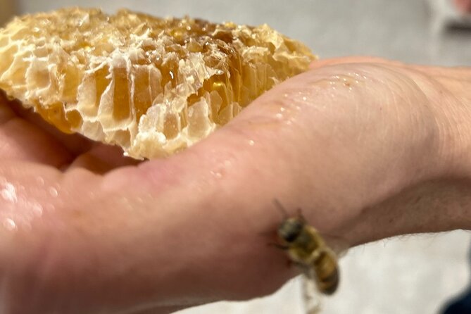 Beekeeping experience " Areti Honey " - Honey Tasting and Final Insights at the Workshop