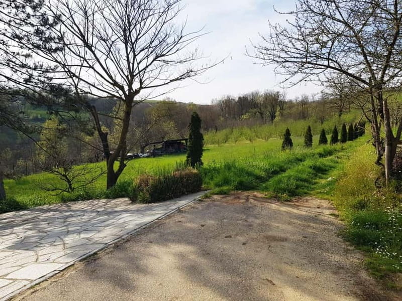 Beekeeping Tour and Honey Tasting Experience in Monferrato - Key Points