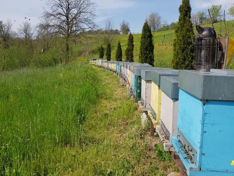 Beekeeping Tour and Honey Tasting Experience in Monferrato - Honey Tasting and Palate Cleansing in Piedmont