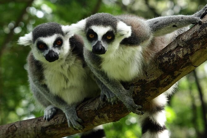 BeerBus Budapest - Sightseeing PRIVATE party tour - Starting Point and Tour Duration in Budapest