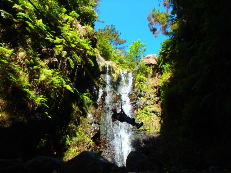 Beginner Canyoning Madeira - Madeiras Beginner Canyoning Tour in a Nutshell