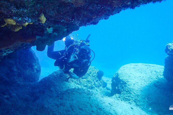 Beginner Diving Experience in Ligaria Bay - The Equipment and Instruction You Receive