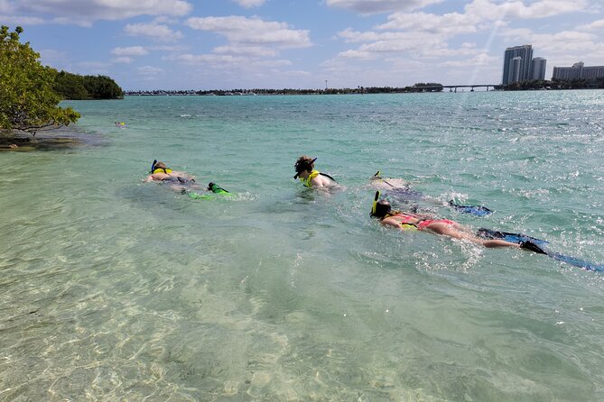 Beginner Friendly Island Snorkeling - Discover the Beginner-Friendly Island Snorkeling Experience Near Miami