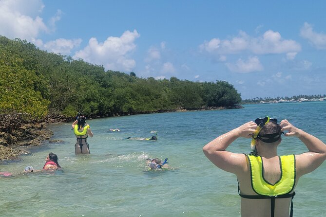 Beginner Friendly Island Snorkeling - Sandspur Island: The Main Snorkeling Spot