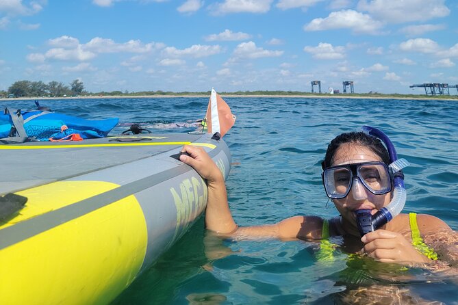 Beginner Friendly Island Snorkeling - Wildlife Encounters on the Water