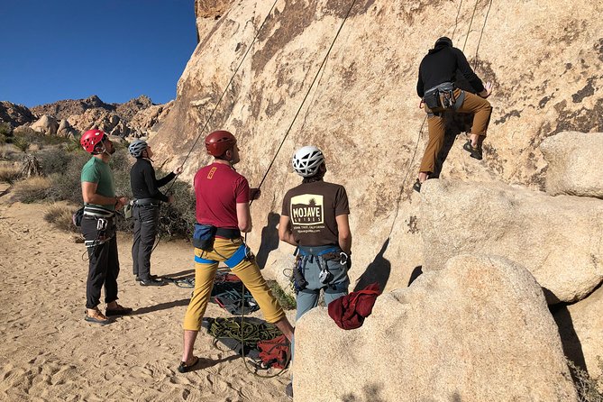 Beginner Group Rock Climbing in Joshua Tree National Park - Physical Fitness and Accessibility