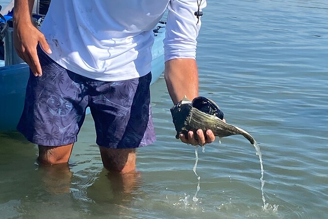 Beginner One Hour Guided Kayaking and SUP Activity - Exploring Big Hickory’s Mangrove Inlets and Tunnels