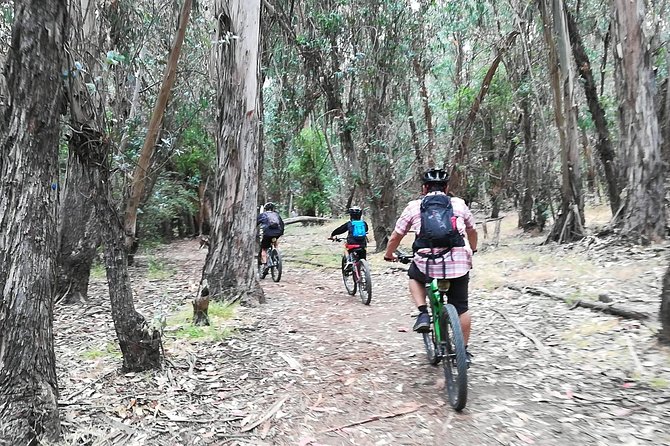 Beginner or Intermediate Mountain Bike Tour of Santa Barbara - Equipment and Safety Gear