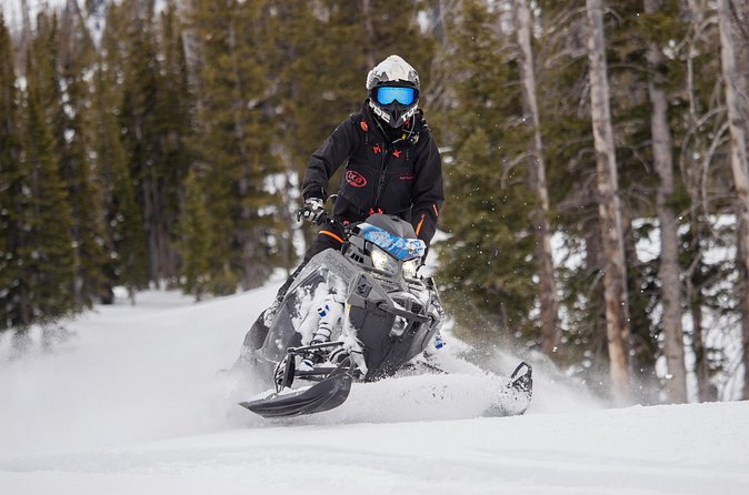 Beginner Private Guided Backcountry Adventure (Full Day) - Comparing Similar Tours