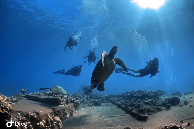 Beginner Scuba Dive in Lahaina: Swimming Required - Why Lahaina’s Calm Coastal Waters Are Perfect for Beginners