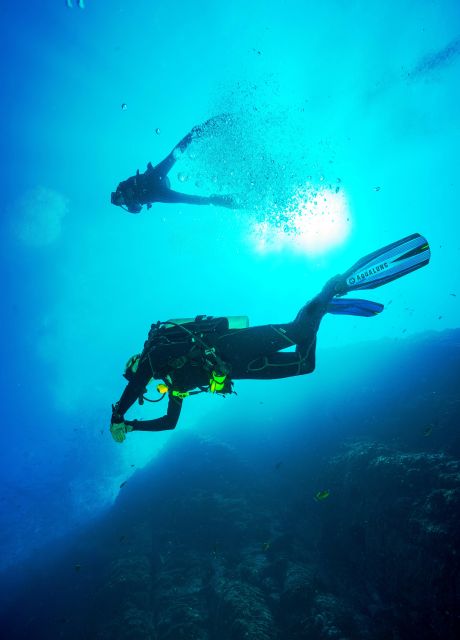 Beginner Scuba Dive with Scubapoint Tenerife in Turtle Area - Key Points
