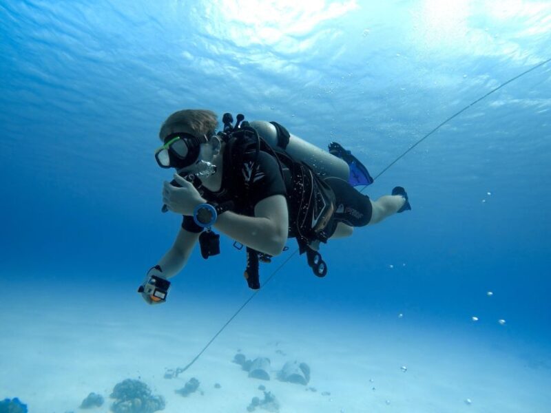 Beginner Scuba Dive with Scubapoint Tenerife in Turtle Area - Who Is This Tour Best Suited For?