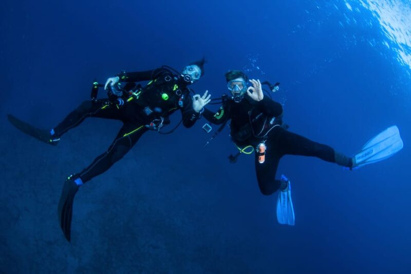 Beginner Scuba Dive with Scubapoint Tenerife in Turtle Area - How the Tour Differs from Other Experiences