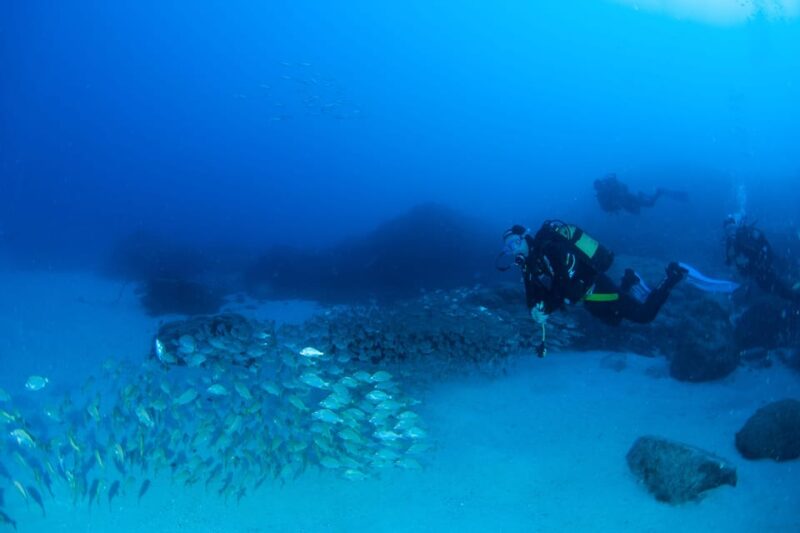 Beginner Scuba Dive with Scubapoint Tenerife in Turtle Area - Practical Tips for Participants