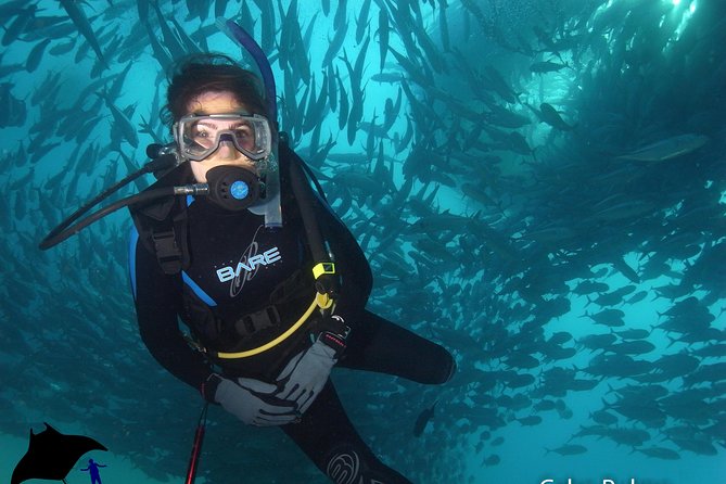 Beginner Scuba Diving in Cabo San Lucas - Meeting Location and Transportation Details