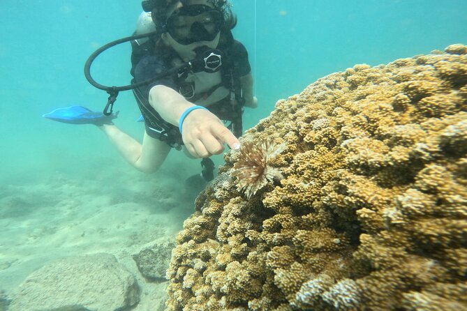 Beginner Scuba Experience with Video Package in Honolulu - The Safety and Instruction Approach at Magic Island Lagoon