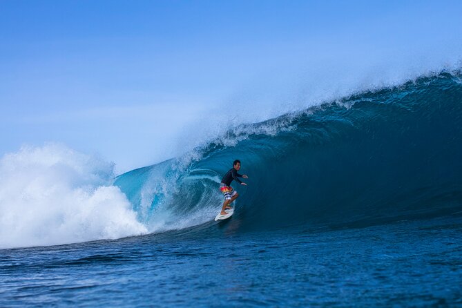 Beginner Surf Lesson in North Shore, Oahu - Meeting Point at Puaena Point Beach Park