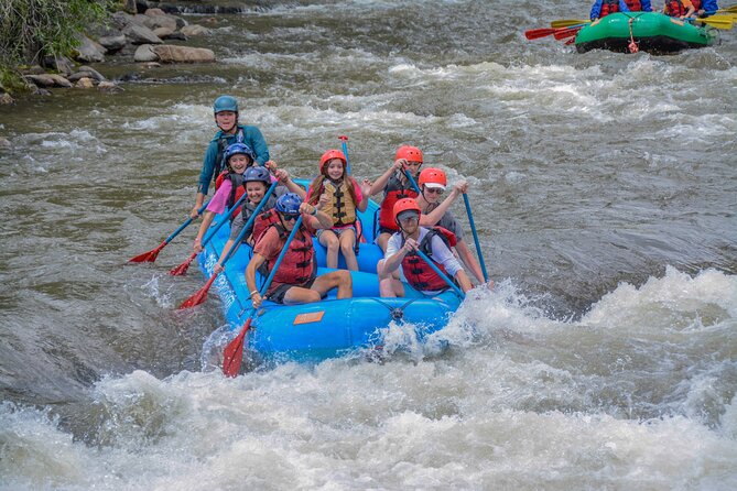 Beginner Whitewater Rafting on Historic Clear Creek - Professional Guides and Group Size