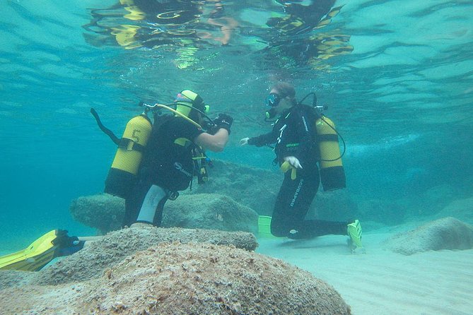 Beginners Diving in Santa Ponsa - Comparing This Tour to Other Water Activities in Mallorca