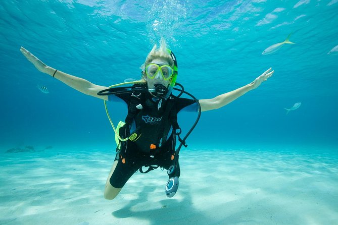 Beginners Scuba Diving Experience in Gran Canaria - What to Expect During the Pool and Reef Dives