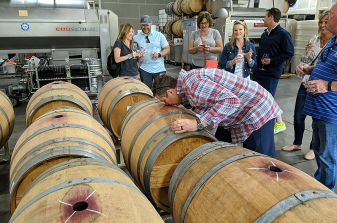 Behind-the-Scenes Food and Wine E-Bike Tour - Wineries Included in the Tour: Varied and Flexible