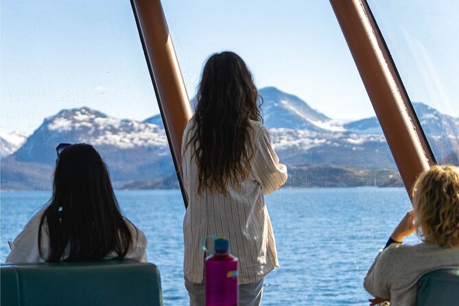 Beiarfjord & Saltstraumen Cruise with Guide - Booking and Meeting Details