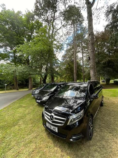 Belfast castle & Peace walls & murals tour - Key Points