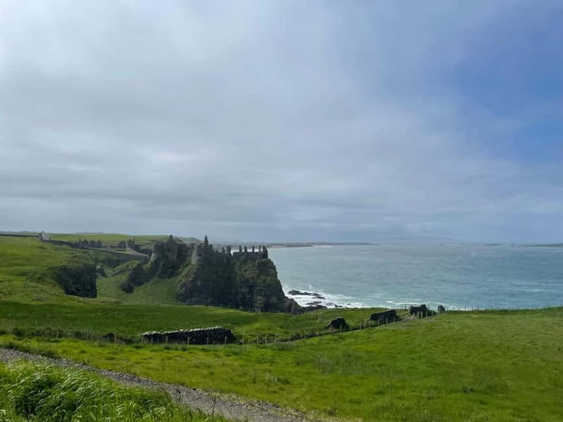 Belfast: Giant's Causeway and Game of Thrones Tour - Discover the Enchanting Dark Hedges Tree Tunnel