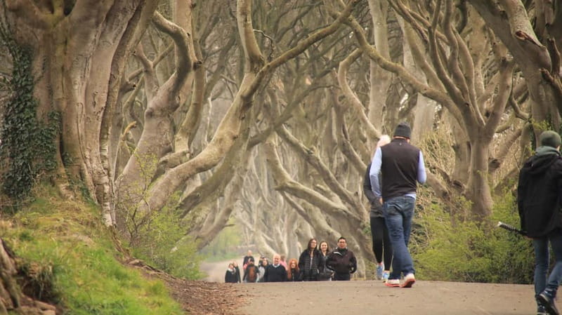 Belfast: Giants Causeway and North Coast Small Group Tour - Experience the Region’s Legends and Myths