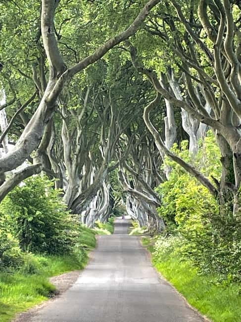 Belfast: Giants Causeway Tour Cruise Ship Excursion - Key Points