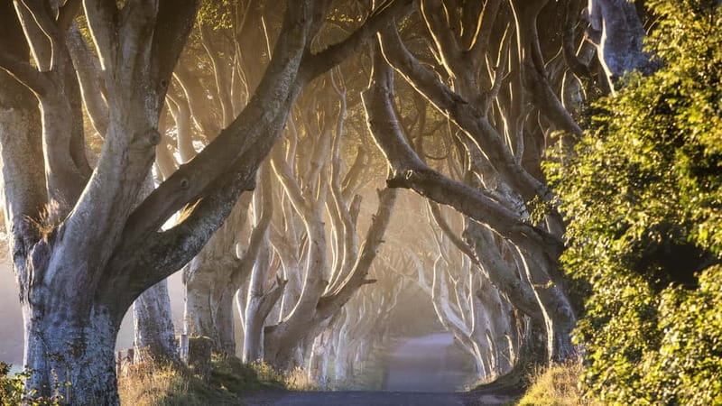 Belfast: Giant's Causeway Tour w/ Titanic Exhibit Admission - Key Points