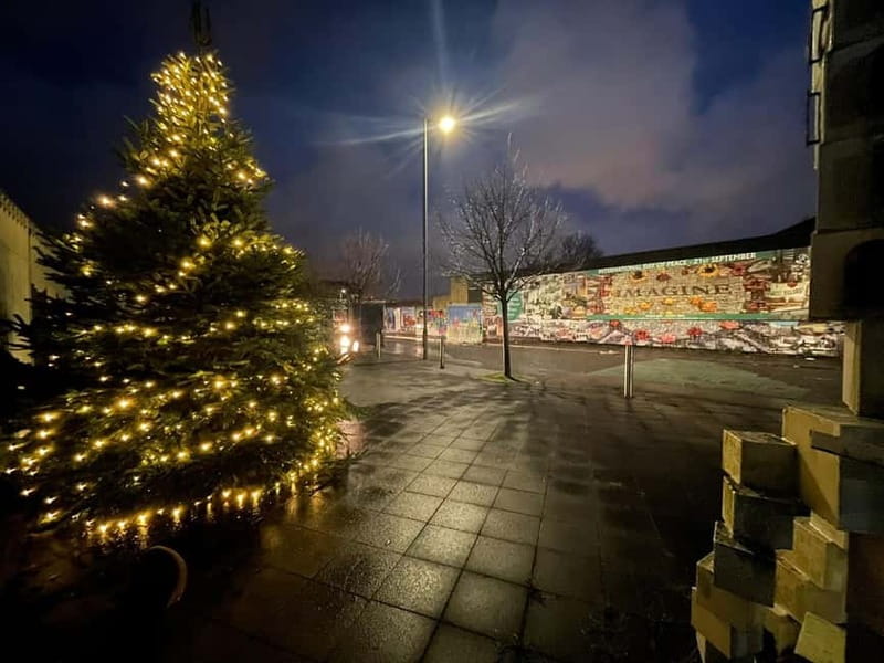 Belfast: Peace Wall & Mural Tour - An Engaging 1-Hour Tour of Belfast’s Peace and Murals