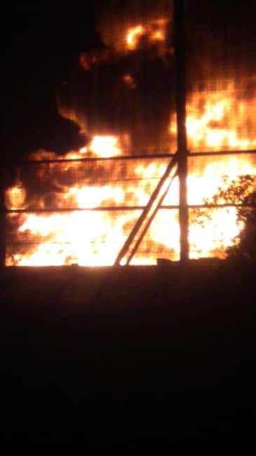 Belfast: Peace Wall & Mural Tour - The Role of Art in Belfast’s Identity