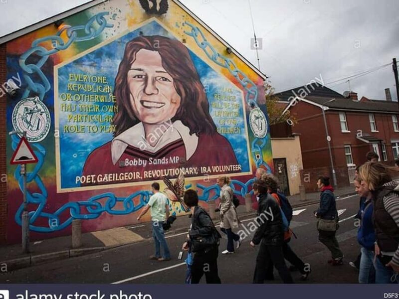 Belfast: Private Driver-Guided City Tour - Key Points