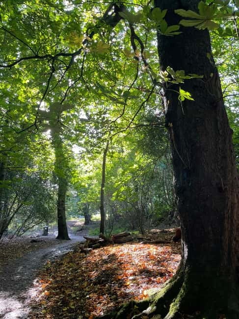 Belfast: Sir Thomas & Lady Dixon Park Walk & Alfresco Picnic - Exploring the Heritage of Sir Thomas & Lady Dixon Park