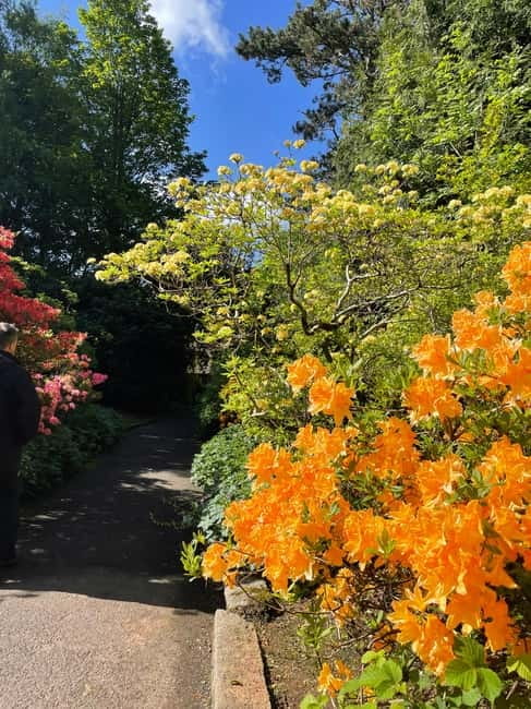 Belfast: Sir Thomas & Lady Dixon Park Walk & Alfresco Picnic - Value and Booking Flexibility