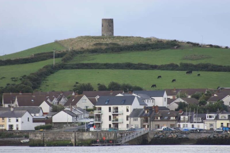 Belfast: Strangford Lough & Ards Peninsula Private Tour - Practicalities of the Private Tour and Group Size