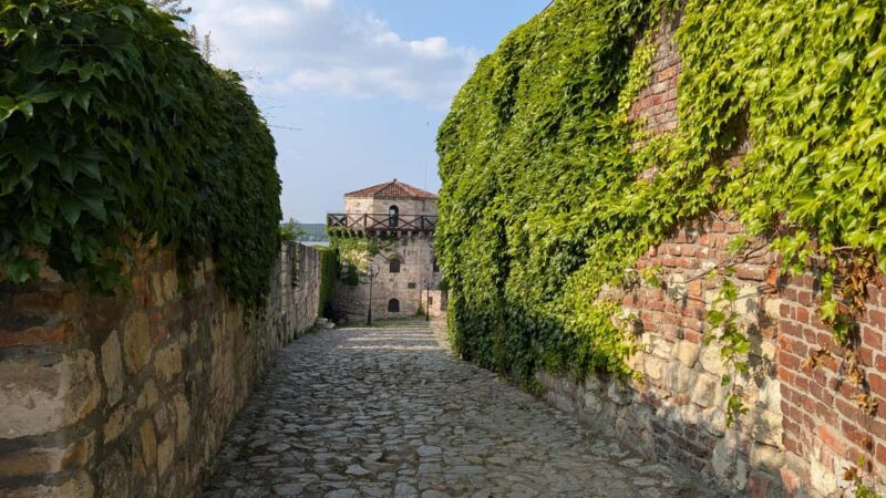 Belgrade: 3-Hour Serbian History Walking Tour - Relaxing in Student Park and Visiting Holy Archangel Michael