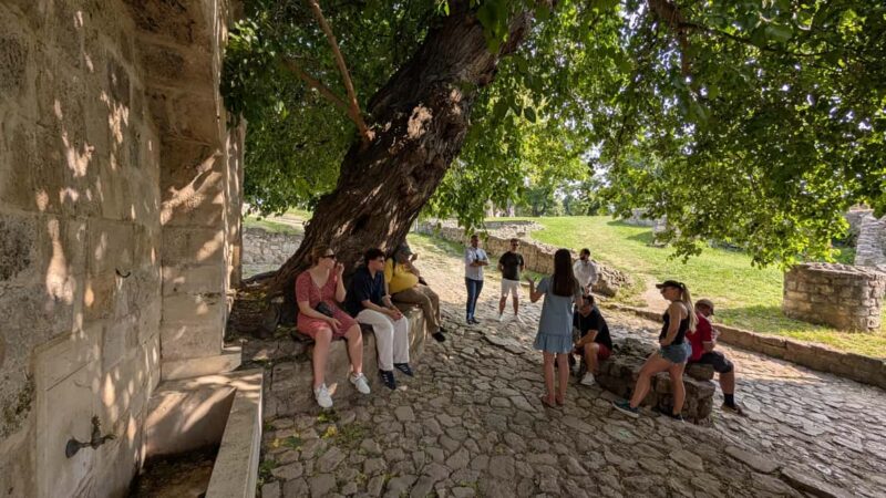 Belgrade: 3-Hour Serbian History Walking Tour - Encountering Ruzica Church and the Monument of Gratitude to France