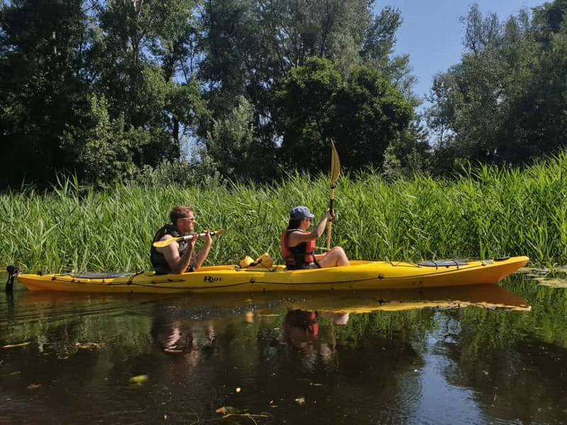Belgrade: Great War Island Kayak Adventure - Explore Belgrade from the Water with a Kayak around Great War Island