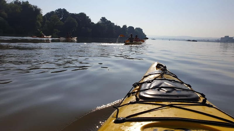 Belgrade: Great War Island Kayak Adventure - The Experience of Guides Aleksandar and Nicola